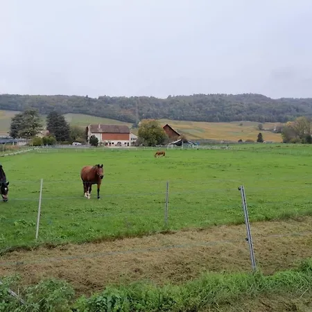 Escapade Rurale Luins